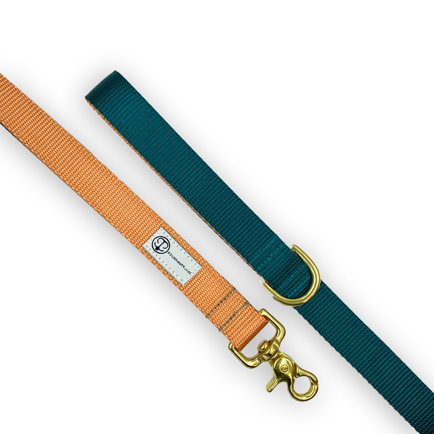 Teal and Coral Leash